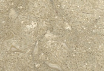 Sea Grass Limestone